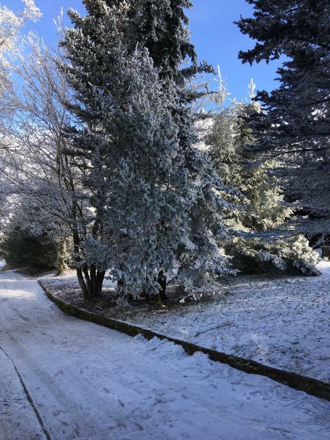 Medvedi Boudy Villa Loučná pod Klínovcem Exterior foto